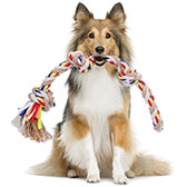 Juguete de cuerdas de algodón natural para perros - Varios modelos